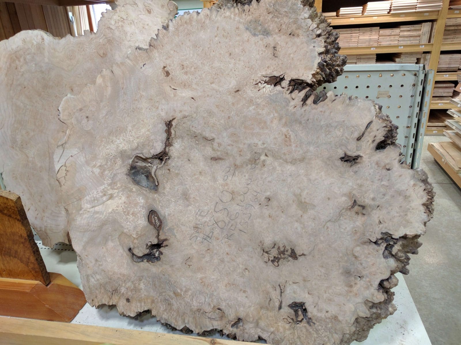 Maple Burl
