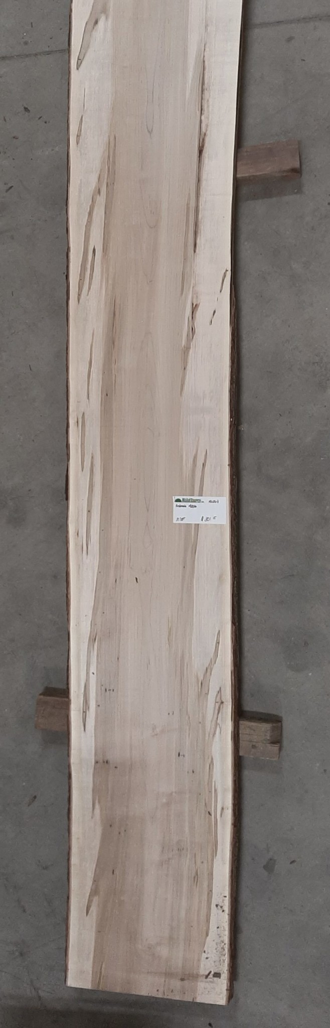 8/4 Wormy Maple MW068 The WoodSource