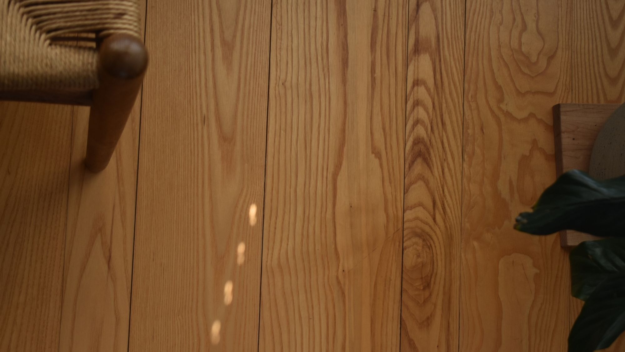 Custom Ash Flooring Ottawa WoodSource
