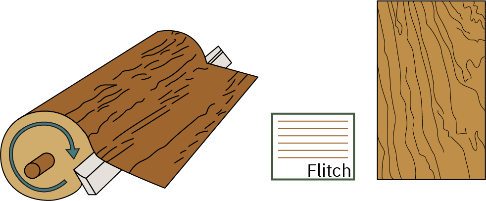 A diagram of a rotary cut log, displaying the grain that is produced on sheet goods with this cut.