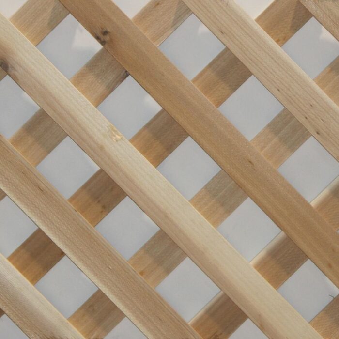 Cedar Lattice