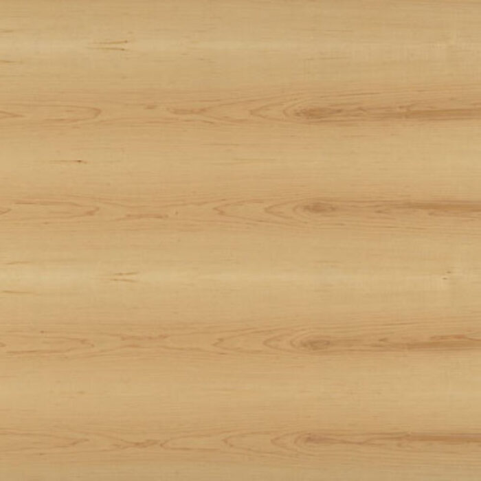 Maple Plywood
